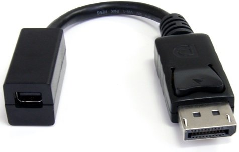 StarTech 15cm DisplayPort Male to Mini DisplayPort Female Cable Adapter  + Headphones Draw Offer
